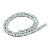 Natural Celestite/Celestine Beads Strands G-Z006-C36-3