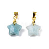 Natural Amazonite Charms X-G-N326-142-08-2