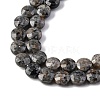 Natural Fluorescent Syenite Rock(Glow under UV Light) Beads Strands G-C179-A39-03-4