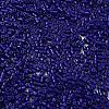 Baking Paint Glass Seed Beads X-SEED-S042-05B-78-3