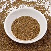 MIYUKI Delica Beads SEED-X0054-DB2273-2