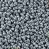 TOHO Round Seed Beads X-SEED-TR08-0565-2