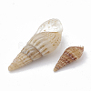 Sea Shell Beads SSHEL-S258-04-2