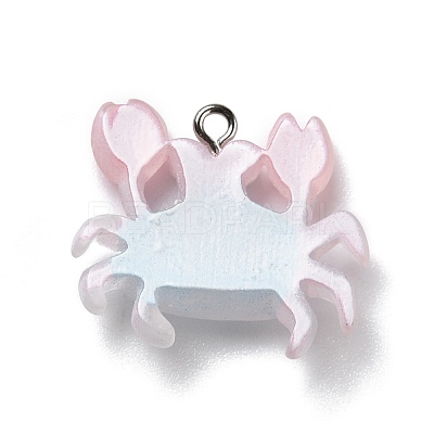 Opaque Resin Pendants RESI-D055-092P-1