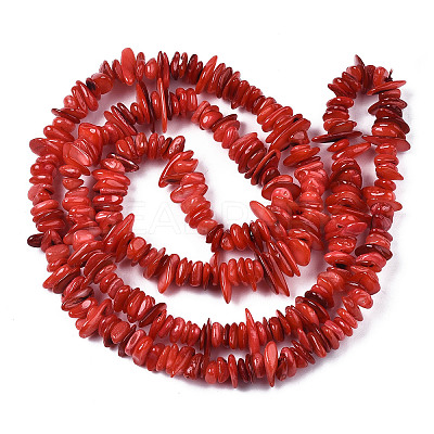 Natural Freshwater Shell Beads Strands X-SHEL-S278-071A-1
