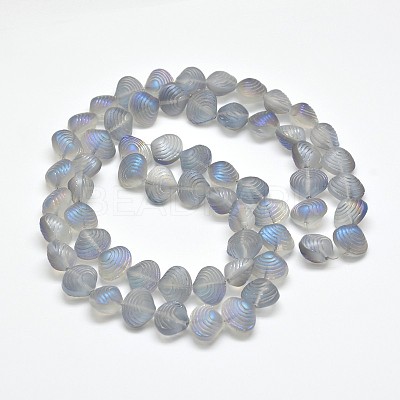 Frosted Electroplate Glass Shell Beads Strands EGLA-M002-B03-1