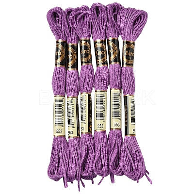 6Bundles Polyester Embroidery Floss OCOR-YW0001-25F-1