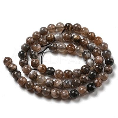 Natural Black Moonstone Beads Strands G-A219-A01-02-1