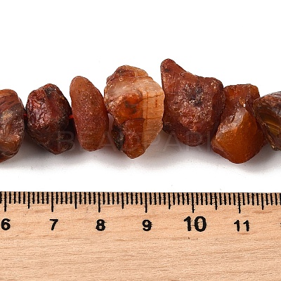 Natural Carnelian Beads Strands G-I283-F09-1