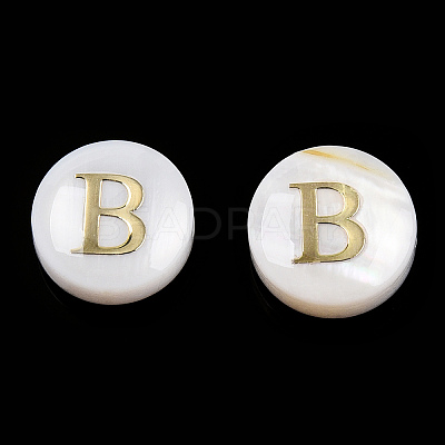 Natural Freshwater Shell Beads SHEL-N036-01B-1