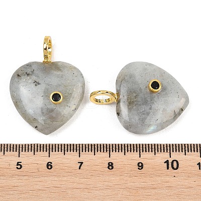 Natural Labradorite Pendants G-D104-01G-10-1