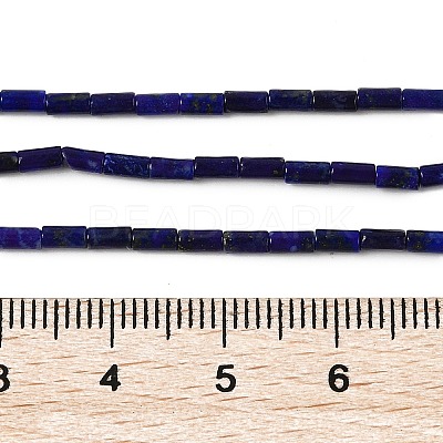 Natural Lapis Lazuli Beads Strands G-U013-A01-01-1