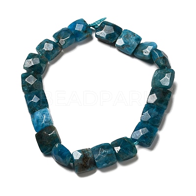 Natural Apatite Beads Strands G-G980-04-1