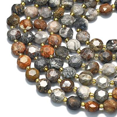 Natural Fossil Coral Beads Strands G-C116-A132-01-1