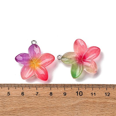 Transparent Resin Pendants RESI-A046-05F-1