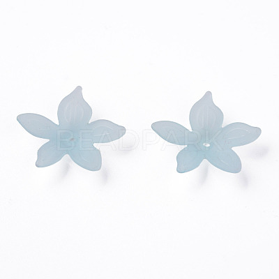 Transparent Acrylic Beads MACR-S373-127-D02-1