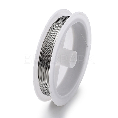 Non-Tarnish 10 Rolls 304 Stainless Steel Wire TWIR-H001-01F-P-1