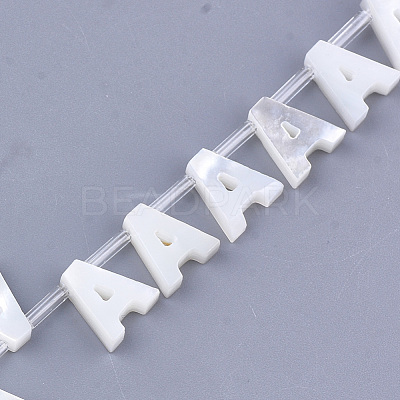 Natural Sea Shell Beads SHEL-T012-60A-1