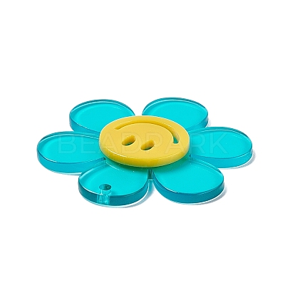 Transparent Acrylic Big Pendants OACR-P012-A07-1