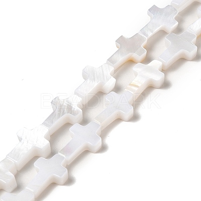 Natural Freshwater Shell Beads Strands BSHE-E026-18-1