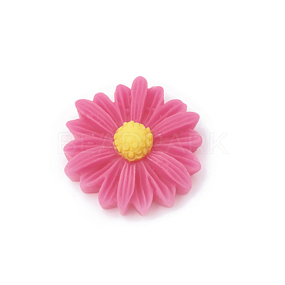 Resin Cabochons CRES-N007-10B-1