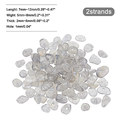 Natural Labradorite Bead Strands G-GL0001-03-1