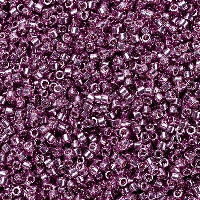 MIYUKI Delica Beads SEED-X0054-DB1848-1