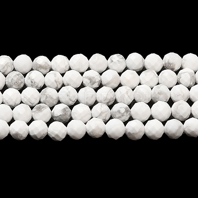 Natural Howlite Beads Strands G-E608-A01-B-1