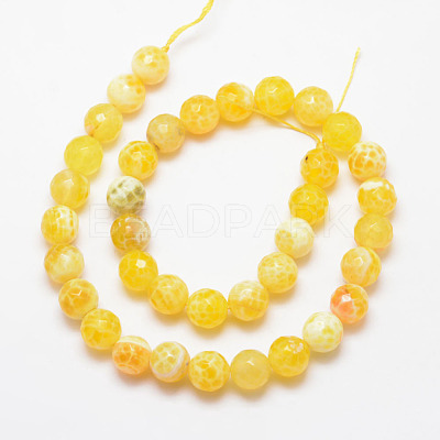 Natural Fire Crackle Agate Bead Strands G-K166-07F-10mm-17-1
