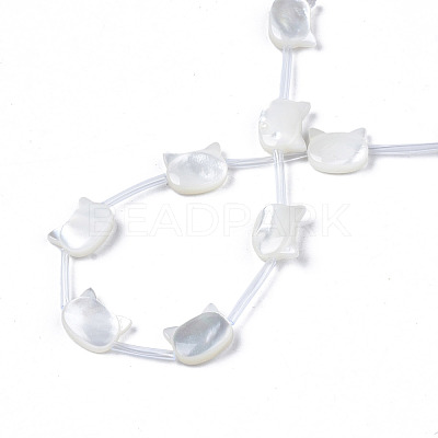 Natural White Shell Beads Strands SSHEL-S278-124A-1