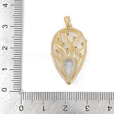 Brass Glass Pendants RGLA-M002-02G-1