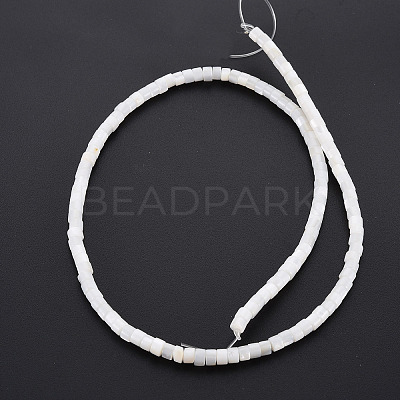 Natural Freshwater Shell Beads Strands X-SHEL-N027-09-1