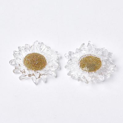Resin Cabochons CRES-Q206-02-1