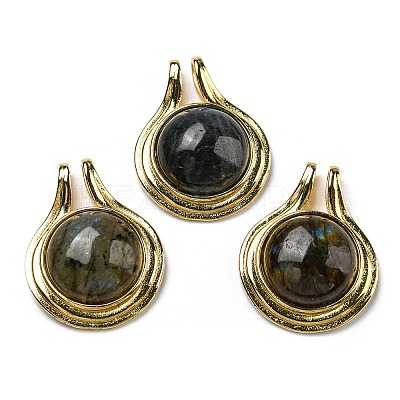 Natural Labradorite Pendants G-M405-06G-1