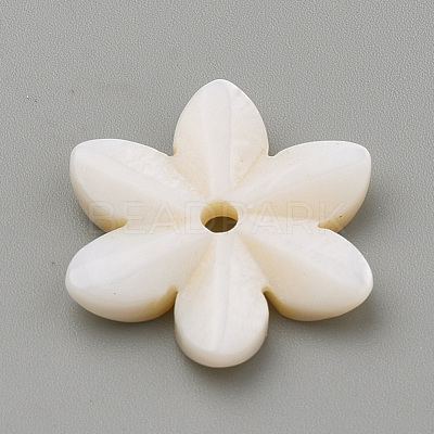 Natural Freshwater Shell Beads SHEL-S269-32-1