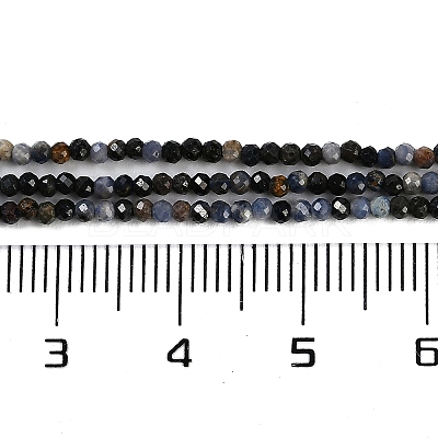 Natural Sapphire Beads Strands X-G-P553-G07-01-1