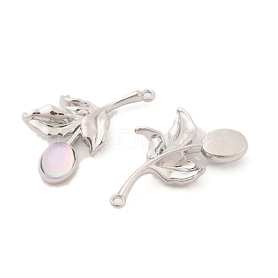 Alloy & Resin Pendants FIND-Z053-04A-01-1