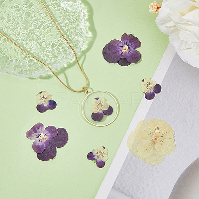 120pcs 3 Style Dried Pansy Flower DIY-HY0001-62-1