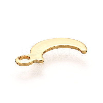 201 Stainless Steel Charms STAS-B001-11G-1