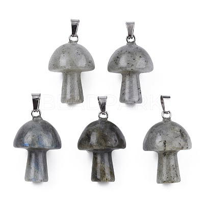 Natural Labradorite Pendants G-N0325-10O-1