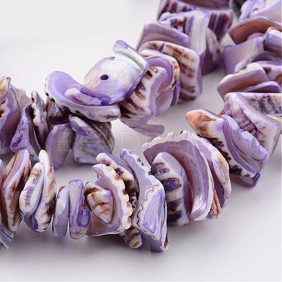 Natural Shell Bead Strands BSHE-P010-01-1