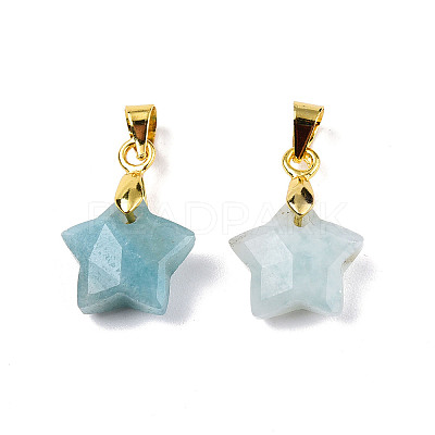Natural Amazonite Charms X-G-N326-142-08-1