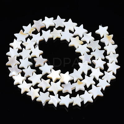 Natural Freshwater Shell Beads Strands SHEL-S278-01B-01-1