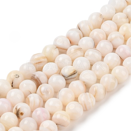 Natural Freshwater Shell Beads Strands SHEL-T011-02-8mm-1