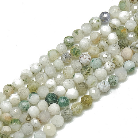 Natural Tree Agate Beads Strands G-S300-22-3mm-1