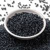 MIYUKI Round Rocailles Beads X-SEED-G008-RR0178-2