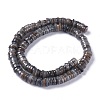 Natural Freshwater Shell Beads Strands BSHE-I016-04-3
