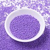MIYUKI Delica Beads SEED-X0054-DB1379-2