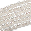 Natural Cultured Freshwater Pearl Beads Strands PEAR-T001-06C-3