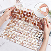 Square Natural Shell Pattern Paper DIY-WH0223-69-2